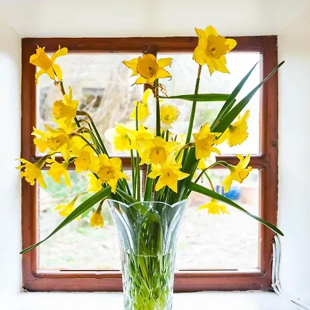 Tatil Evi The Stable Fethard-on-Sea