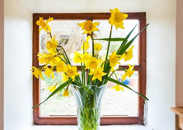 別荘 The Stable フェサード・オン・スィー